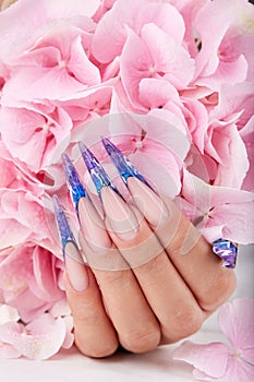 Hand with long artificial blue french manicured nails photo
