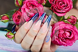 Hand with long artificial blue french manicured nails and rose flowers