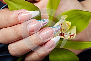 Hand with long artificial french manicured nails holding an orchid flower