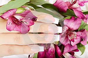 Hand with long artificial french manicured nails and lily flowers