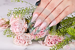 Hand with long artificial green french manicured nails and pink rose flowers