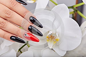 Hand with long artificial manicured nails colored with black and red nail polish