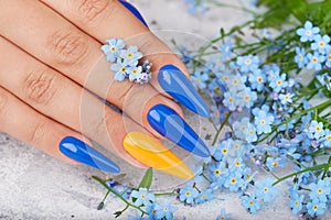 Hand with long artificial manicured nails colored with blue and orange nail polish photo