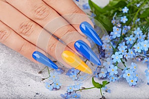 Hand with long artificial manicured nails colored with blue and orange nail polish