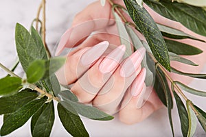 Hand with long artificial manicured nails colored with pink nail polish