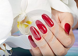 Hand with long artificial manicured nails and orchid flower photo