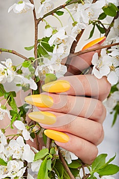 Hand with long artificial manicured nails colored with yellow nail polish