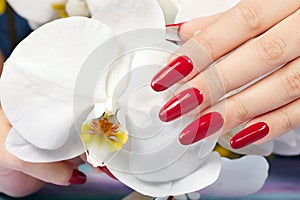 Hand with long artificial manicured nails and orchid flower