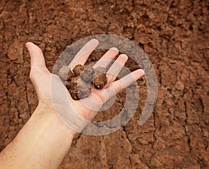 Hand with lumps of clay ground