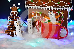 The hand-made eatable gingerbread house, marshmallow snowman  in mag,  New Year tree, snow decoration, garland snow