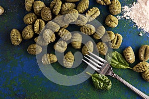 Hand made gnocchi with fresh Spinach. italian traditional gnocchi on background