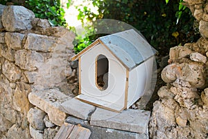 Hand made house for homeless cats stands in park among the trees
