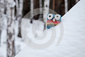 Hand-made knitted owl made of wool, outdoor toy in the forest