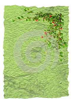 Hand made paper decorated