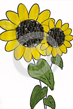 Hand-made picture of lovely sunflower. Painted with yellow and green gouache and glued black seeds. Art on the white background