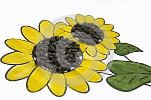 Hand-made picture of lovely sunflower. Painted with yellow and green gouache and glued black seeds. Art on the white background