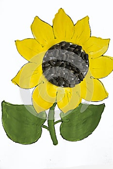 Hand-made picture of lovely sunflower. Painted with yellow and green gouache and glued black seeds. Art on the white background