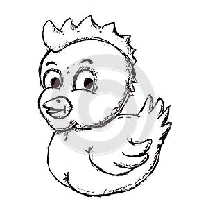 Hand made sketch of chiken