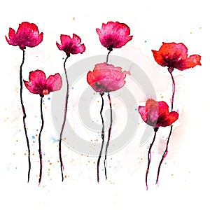 Hand made watercolor flowers painting