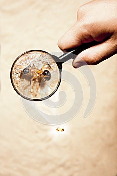 Hand with magnifying glass