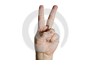 Hand making victory sign with two fingers. White background