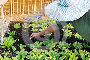 Hand of male farmer using a food fork to shovel soil to cultivate earthworms in an organic vegetable garden. Use simple equipment