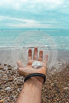 Hand Male Holding a Seashell