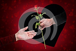 Hand of a man is giving a rose through a heart shaped black hole in a red greeting card to the hand of a woman on Valentines day,