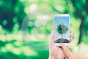 Hand of man holding mobile phone with soil and tree on screen.