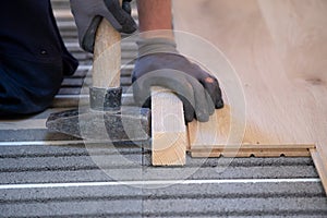 Hand of a man is laying and installing solid parquet above underfloor heating