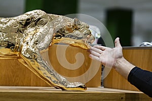 Hand man and Luxury Golden Jaguar Figurine close up on wooden table.