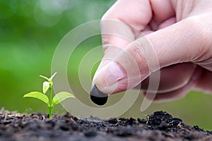 Hand of man planting a seed in soil agriculture. plants growing nature and reducing global warming concept