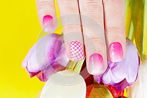 Hand with manicured nails and tulip flowers