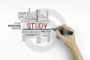 Hand with marker writing - STUDY word cloud, education concept