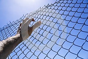 Hand on a metal fence. Border, prison, illegal migration concept.