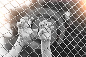 Hand with metal fence, feeling no freedom
