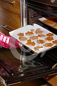 Hand in mittens putting tray with gingerbread cookies in oven. Make gingerbread cookies for Holidays. Christmas cookies