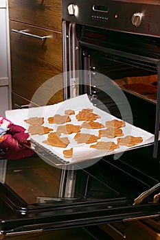 Hand in mittens putting tray with gingerbread cookies in oven. Make gingerbread cookies for Holidays. Christmas cookies