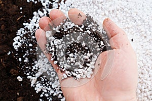 hand with mixed soil and Perlite for plants. neutral material of volcanic origin