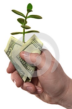 Hand,money,sprout