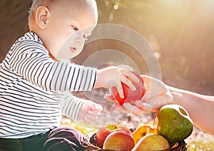 Hand mother give an apple to child (baby boy) in the sunny autumn day. Kid eating healthy food, snack.