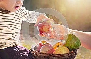 Hand of mother give an apple to child (baby boy) in the sunny autumn (fall) day.