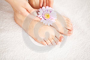 Hand and Nail Care. Beautiful Women`s Feet and Hands After Manicure and Pedicure at Beauty Salon. Spa Manicure.