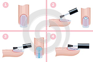 Hand nail care. Technique for applying the base layer of manicure, instructions. Illustration for a manual for manicure. Vector