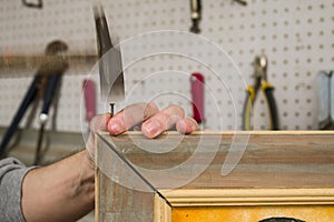 A hand with a nail and a hammer.Carpenter working