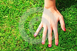 Hand with nail polish on grass
