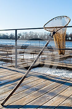 A hand net for scooping fish in fish farm