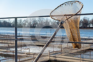 A hand net for scooping fish in fish farm