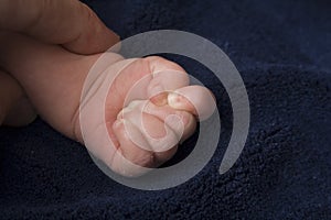 Hand of a Newborn