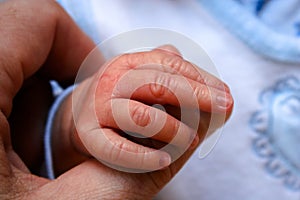 Hand of newborn baby boy